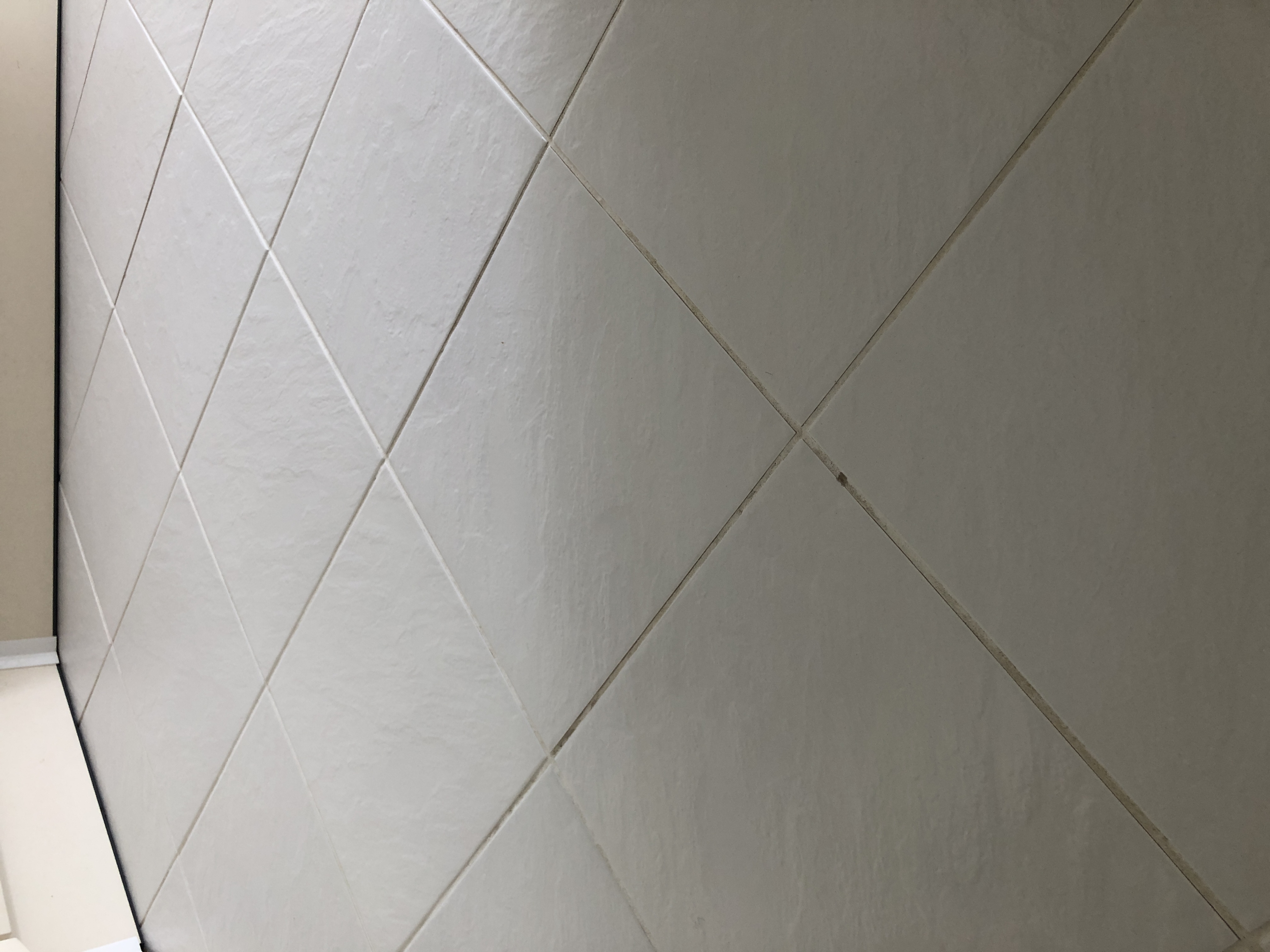 Hard Floor Cleaning